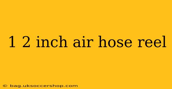 1 2 inch air hose reel