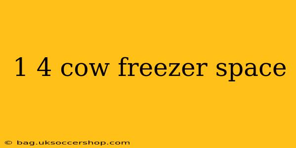 1 4 cow freezer space
