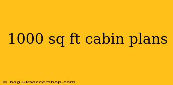 1000 sq ft cabin plans