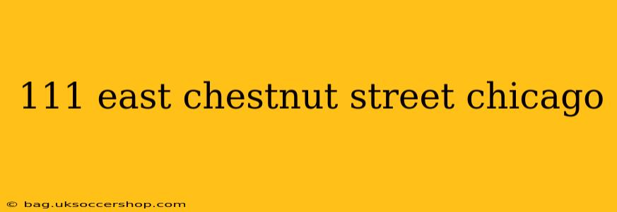 111 east chestnut street chicago