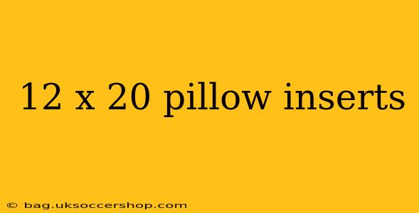 12 x 20 pillow inserts