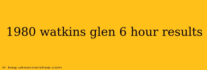 1980 watkins glen 6 hour results