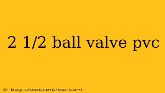 2 1/2 ball valve pvc