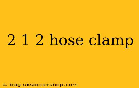 2 1 2 hose clamp