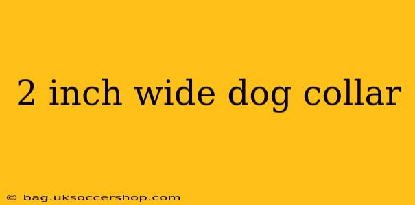 2 inch wide dog collar