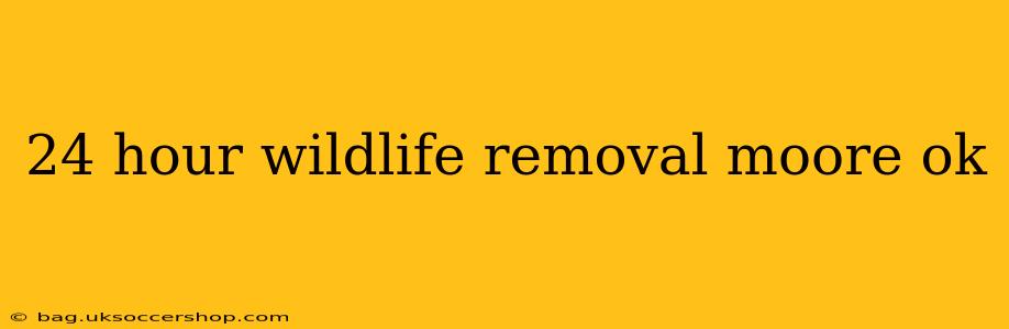 24 hour wildlife removal moore ok