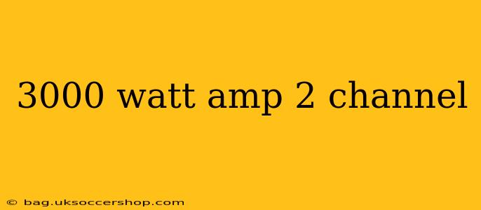 3000 watt amp 2 channel