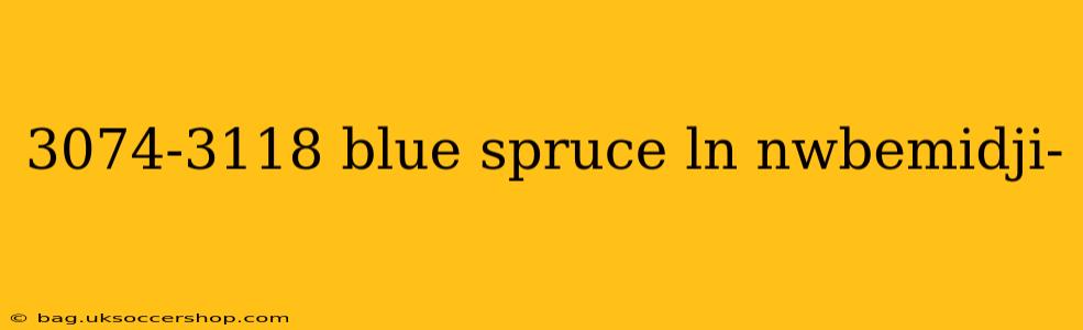 3074-3118 blue spruce ln nwbemidji-