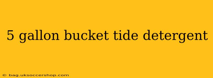 5 gallon bucket tide detergent