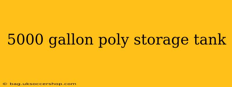 5000 gallon poly storage tank