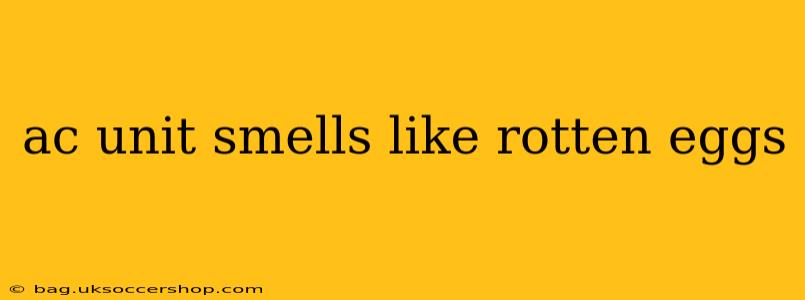 ac unit smells like rotten eggs