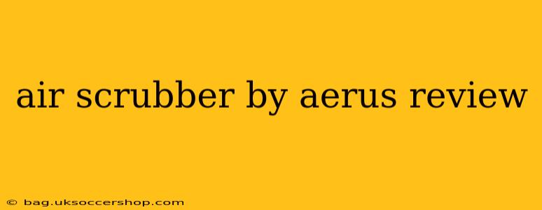 air scrubber by aerus review