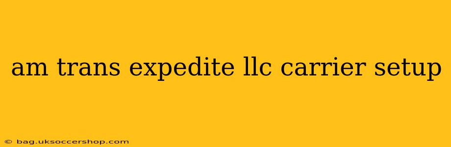 am trans expedite llc carrier setup