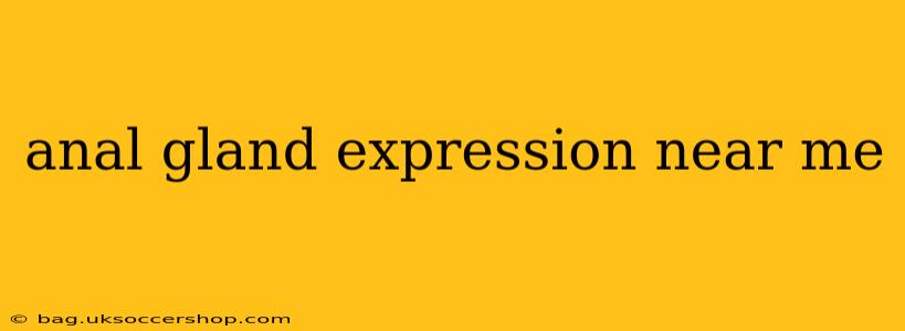 anal gland expression near me