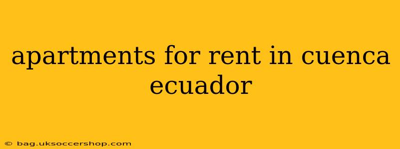 apartments for rent in cuenca ecuador