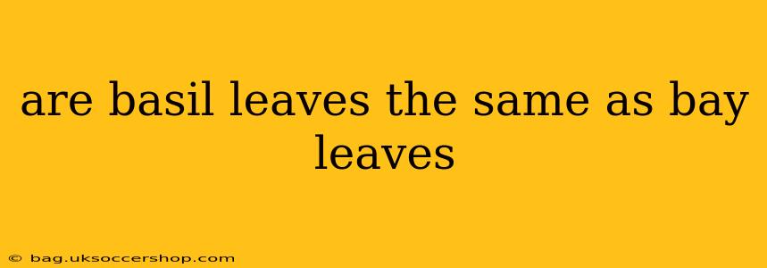 are basil leaves the same as bay leaves