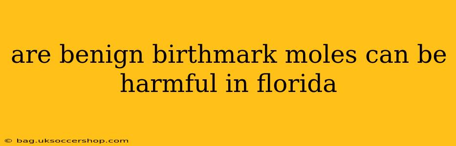 are benign birthmark moles can be harmful in florida