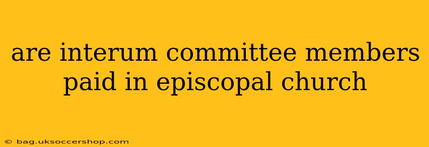are interum committee members paid in episcopal church