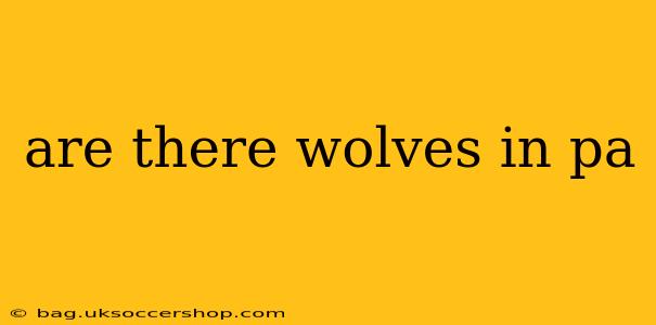 are there wolves in pa