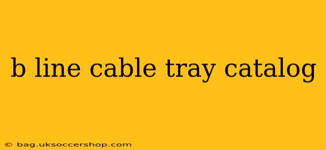 b line cable tray catalog