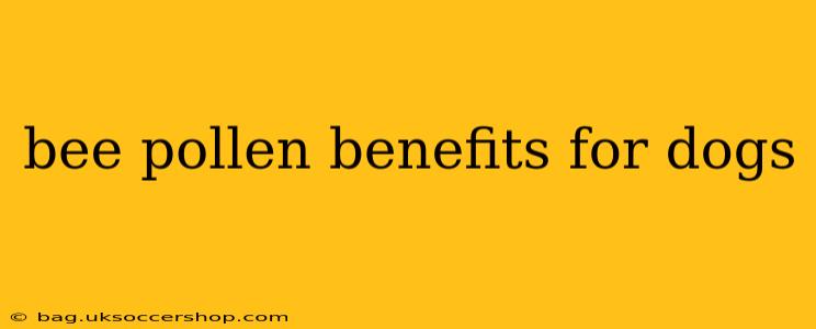 bee pollen benefits for dogs
