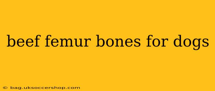 beef femur bones for dogs