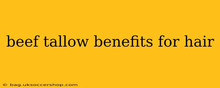 beef tallow benefits for hair