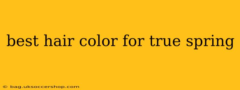 best hair color for true spring