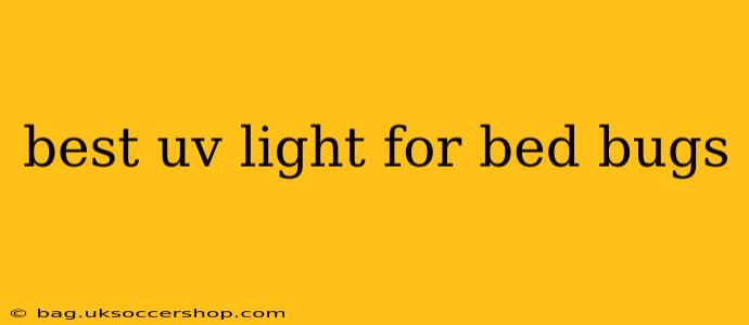 best uv light for bed bugs