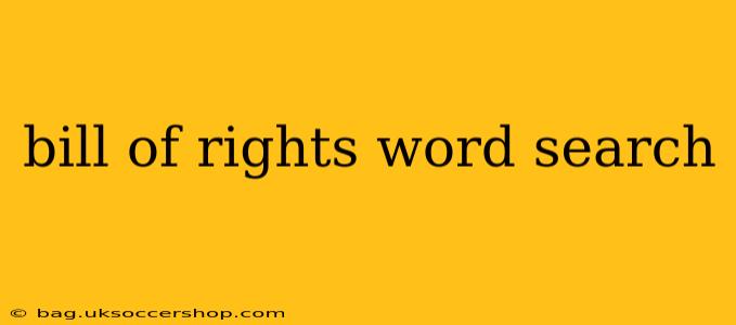 bill of rights word search