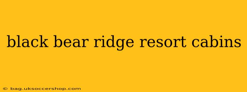 black bear ridge resort cabins