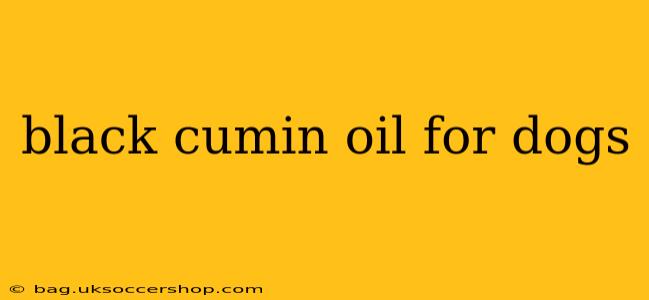 black cumin oil for dogs