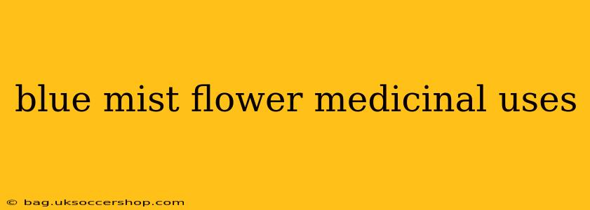 blue mist flower medicinal uses