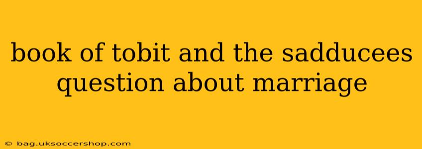 book of tobit and the sadducees question about marriage