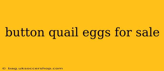 button quail eggs for sale