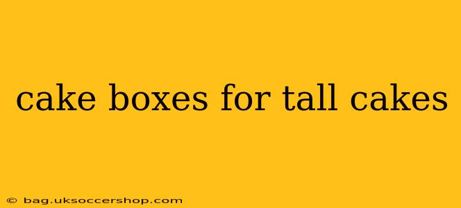 cake boxes for tall cakes