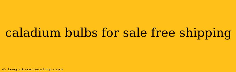 caladium bulbs for sale free shipping