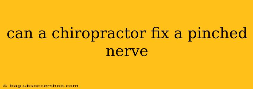 can a chiropractor fix a pinched nerve