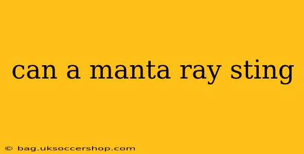can a manta ray sting