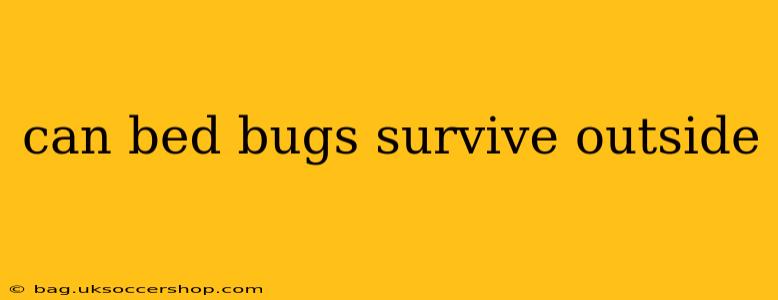 can bed bugs survive outside