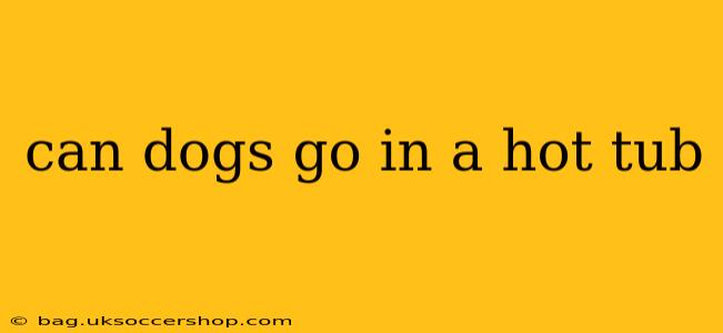 can dogs go in a hot tub