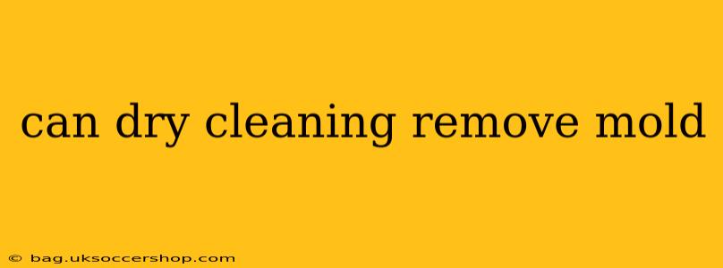 can dry cleaning remove mold