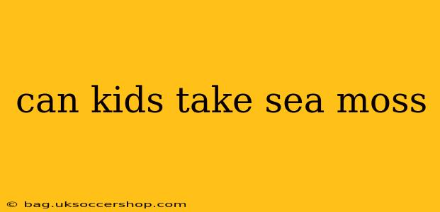 can kids take sea moss