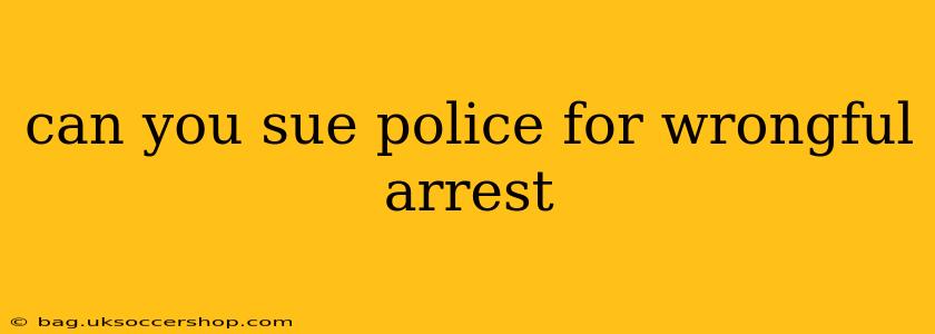 can you sue police for wrongful arrest