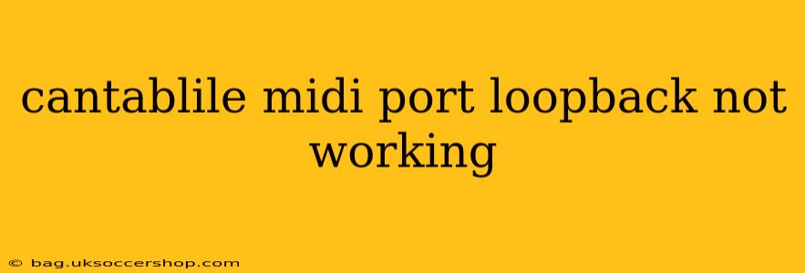 cantablile midi port loopback not working