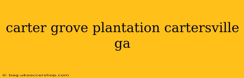 carter grove plantation cartersville ga