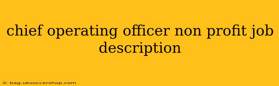 chief operating officer non profit job description