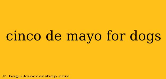 cinco de mayo for dogs