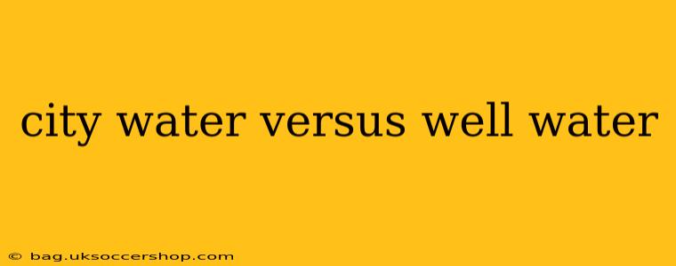 city water versus well water