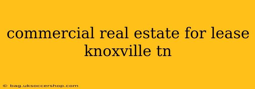 commercial real estate for lease knoxville tn